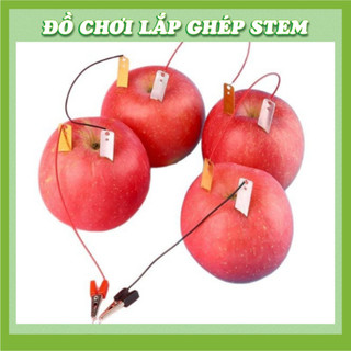 Bộ Kít Thí Nghiệm Phát Điện Từ Trái Cây - Đồ chơi STEM STEAM - Học liệu