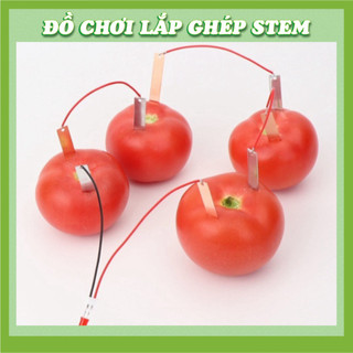 Bộ Kít Thí Nghiệm Phát Điện Từ Trái Cây - Đồ chơi STEM STEAM - Học liệu