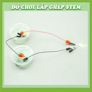 Kít Thí Nghiệm Phát Điện Nước Muối - Đồ chơi STEM STEAM - Học liệu