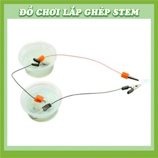 Kít Thí Nghiệm Phát Điện Nước Muối - Đồ chơi STEM STEAM - Học liệu