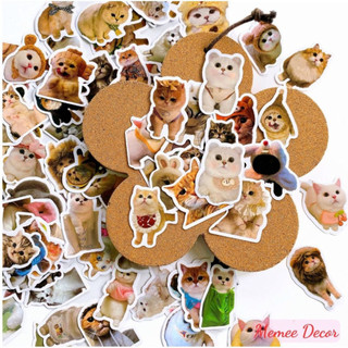 Set 100 sticker meme mèo đáng yêu cute trang trí điện thoại laptop sổ tay