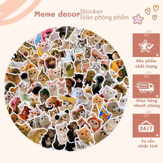 Set 100 sticker meme mèo đáng yêu cute trang trí điện thoại laptop sổ tay