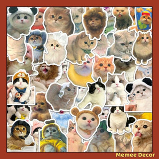 Set 100 sticker meme mèo đáng yêu cute trang trí điện thoại laptop sổ tay