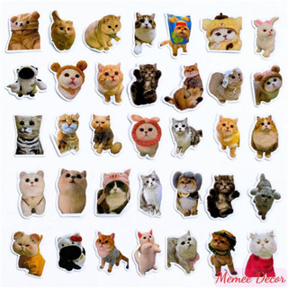 Set 100 sticker meme mèo đáng yêu cute trang trí điện thoại laptop sổ tay