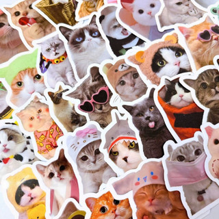 Set 100 sticker meme mèo đáng yêu cute trang trí điện thoại laptop sổ tay