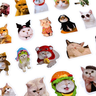Set 100 sticker meme mèo đáng yêu cute trang trí điện thoại laptop sổ tay