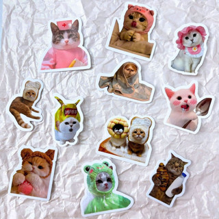 Set 100 sticker meme mèo đáng yêu cute trang trí điện thoại laptop sổ tay