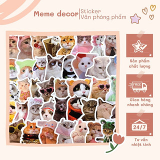 Set 100 sticker meme mèo đáng yêu cute trang trí điện thoại laptop sổ tay
