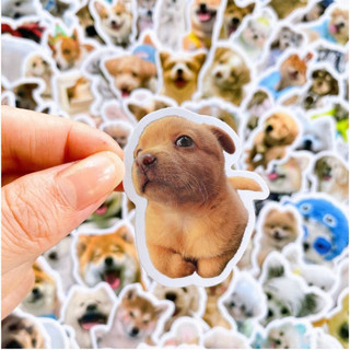 Bộ 100 Sticker Meme Chó Cute Hình Dán Đáng Yêu thú cưng dùng trang trí decor
