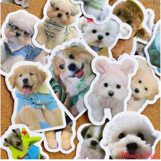 Bộ 100 Sticker Meme Chó Cute Hình Dán Đáng Yêu thú cưng dùng trang trí decor