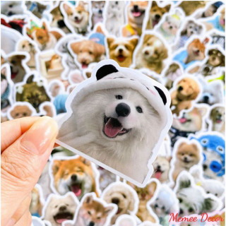 Set 50 sticker meme mèo và 50 sticker meme chó cute hình dán đáng yêu dùng trang trí