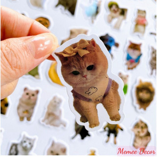 Set 50 sticker meme mèo và 50 sticker meme chó cute hình dán đáng yêu dùng trang trí