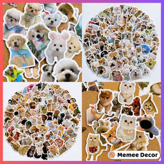 Set 50 sticker meme mèo và 50 sticker meme chó cute hình dán đáng yêu dùng trang trí