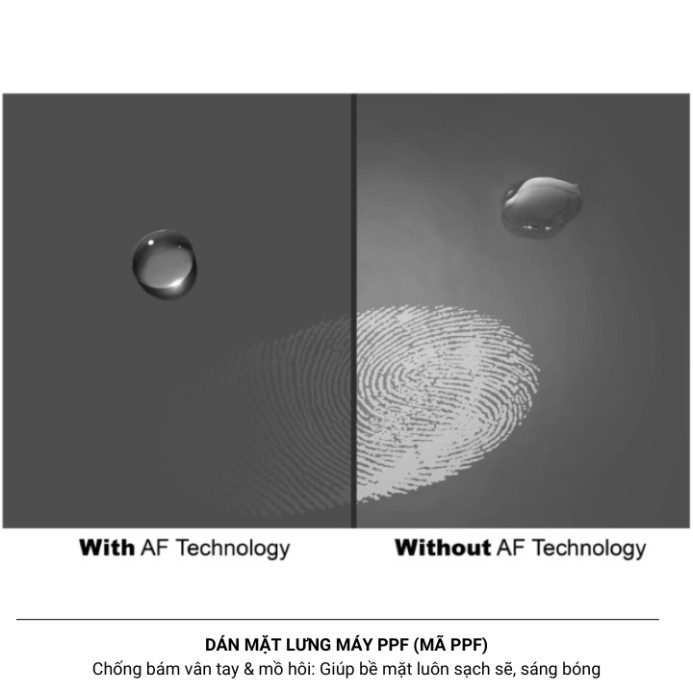 Dán mặt lưng Skin PPF cho Samsung S21+ S22 S22+ S23 S23+ S24 S24+ S22Plus S23Plus S24ultra S25ultra S22ultra S23ultra