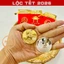 ⭐RƯỚC LỘC⭐ Cặp Đồng Tiền Xu Úc Hình Con Ngựa Mạ Vàng Bạc Quà Tặng Tết Bính Ngọ 2026