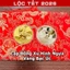 ⭐RƯỚC LỘC⭐ Cặp Đồng Tiền Xu Úc Hình Con Ngựa Mạ Vàng Bạc Quà Tặng Tết Bính Ngọ 2026