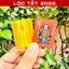 ⭐RƯỚC LỘC⭐ COMBO 10 Thẻ kim bài thái tuế 2026 [bằng plastic]