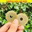 ⭐RƯỚC LỘC⭐ Xu Thái Tuế - Xu 12 Con Giáp 4.5cm Loại Bằng Đồng
