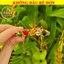 ⭐RƯỚC LỘC⭐ Vòng tay dây đan đá ngũ sắc tây tạng may mắn cho nam và nữ