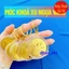 <RẺ HƠN NÈ> Móc khóa Hình Ngựa Mạ Vàng 2026 , Đồng Xu Khắc Con Ngựa Vàng Chữ Lộc , ý nghĩa phong thủy làm quà tặng
