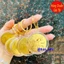 <RẺ HƠN NÈ> Móc Khóa Xu Hình Con Ngựa Vàng bằng kim loại , mặt chữ Lộc phong thủy Tết 2026