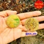 <RẺ HƠN NÈ> SET 5 ĐỒNG XU NGỰA VÀNG KÈM TÚI GẤM ĐỎ MAY MẮN (HÀNG MỚI) - Tết 2026 [SẴN HÀNG]
