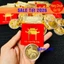 <RẺ HƠN NÈ> SỈ 10 Thỏi Xu Hình Con Ngựa Mạ Vàng Làm Quà Tết , Kèm Túi Lộc Phúc Cầu Được 2026