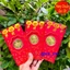<RẺ HƠN NÈ> [Lì xì tết 2026] Bao lì xì hình con Ngựa 2026 Tết Bính Ngọ may mắn thu hút tài lộc