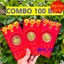<RẺ HƠN NÈ> COMBO 100 Bao Lì Xì Mạ Vàng Con Ngựa 2026 (3 mẫu của năm Bính Ngọ ) - Bao Lì Xì Thần Tài Vàng May mắn