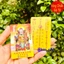 <RẺ HƠN NÈ> Thẻ Bài Thái Tuế 2026 Bỏ Bóp Ví Cho Người Tuổi : TÝ - SỬU - MÃO - NGỌ - DẬU [THẺ NHỰA VÀNG]