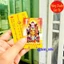 <RẺ HƠN NÈ> [THẺ NHỰA VÀNG] KIM BÀI THÁI TUẾ NĂM 2026 DÀNH CHO CÁC TUỔI TÝ - SỬU - MÃO - NGỌ - DẬU
