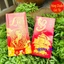 <RẺ HƠN NÈ> Combo 100 Bao Lì Xì Tết 2026 Chữ Lộc , Bao lì xì hình Ngựa Bính Ngọ