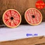 <RẺ HƠN NÈ> Đồng Xu Chu Sa Đỏ Bằng Đồng Thau Đường Kính 28mm Dày 1.5mm