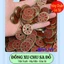 <RẺ HƠN NÈ> Túi 5 10 Đồng Xu Chu Sa - LOẠI 1 - Tứ Phương Bát Bảo
