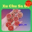 <RẺ HƠN NÈ> Sỉ 5 - 10 Đồng Xu Chu Sa Bát Tự Chân Ngôn Tinh Luyện