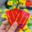 <RẺ HƠN NÈ> Thẻ Thái Tuế Ép Plastic để lên mặt lưng điện thoại, bóp ví phong thủy