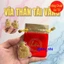 <RẺ HƠN NÈ> Sỉ 100 Thỏi Thần Tài Mạ Vàng Kèm Túi Gấm Chữ Lộc , Phúc , Vía Ông Thần Tài Phong Thuỷ May Mắn