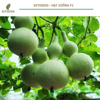 Hạt Giống Bầu Hồ Lô Quả To F1 Năng Suất Cao, Dễ Trồng, Cho Trái Đẹp Lạ