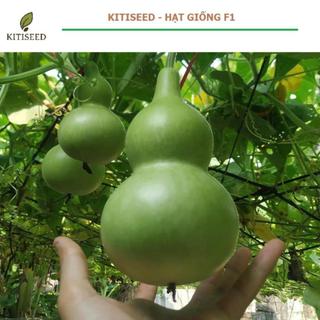 Hạt Giống Bầu Hồ Lô Quả To F1 Năng Suất Cao, Dễ Trồng, Cho Trái Đẹp Lạ