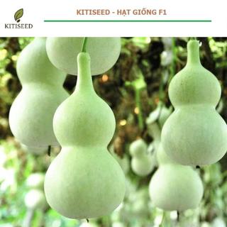 Hạt Giống Bầu Hồ Lô Quả To F1 Năng Suất Cao, Dễ Trồng, Cho Trái Đẹp Lạ