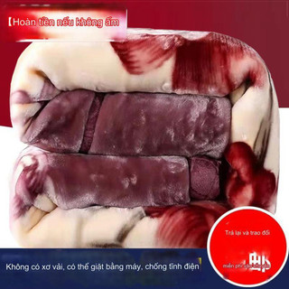 Chăn mền HiLOGI tuyết nhung 3.5kg, dài 1m9x2m1, dày 2 lớp, bông cotton mềm mịn, mùa đông 2mx2m.