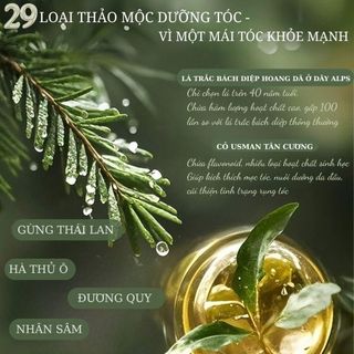 Xà phòng thủ công dầu gội Green Seven Thảo Mộc xà phòng giảm gàu kiểm soát dầu ngăn rụng tóc mượt mà