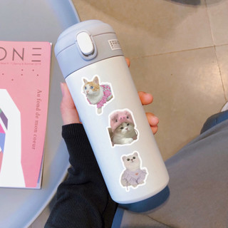 Set 100 sticker chủ đề meme mèo đáng yêu những chú mèo dễ thương hình dán trang trí sổ điện thoại
