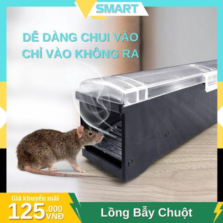 Bẫy Chuột Thông Minh Một Chiều Liên Tục, Bắt Chuột Tự Động An Toàn Không Giết, Nắp Trong Suốt Dễ Quan Sát - VDC03