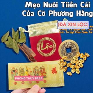 (Có Hương Dẫn Kèm) Bộ Ngũ Lộc Chiêu Tài Cực Hiệu Quả , Mẹo Phong Thủy Nuôi Tiền Cái Đài Loan