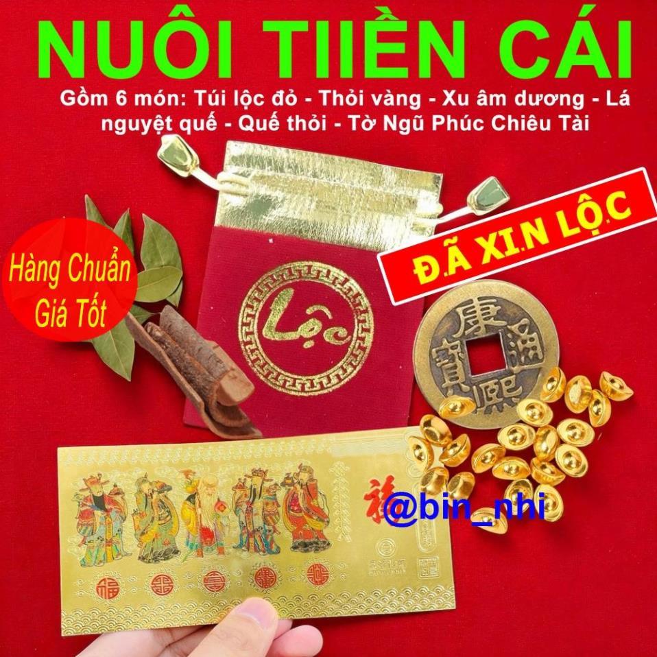 *chiêu tài* Bộ Ngũ Lộc 6 Món Chiêu Tài Phong Thủy Đài Loan: Thỏi Vàng, Xu Cổ, Lá Nguyệt Quế, Vỏ Quế, Tờ Ngũ Phúc
