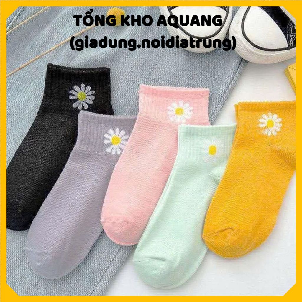 TẤT NỮ HOA CÚC DỄ THƯƠNG NHIỀU MÀU - Set Vớ Thời Trang Cổ Ngắn Cho Bé Gái Và Nữ Sinh,Túi 10 Đôi Tất Hoa Cúc Thể Thao