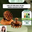 Lược gỗ đàn hương massage giảm rụng tóc massage da đầu chống tĩnh điện - Mỹ nghệ dưỡng sinh HT