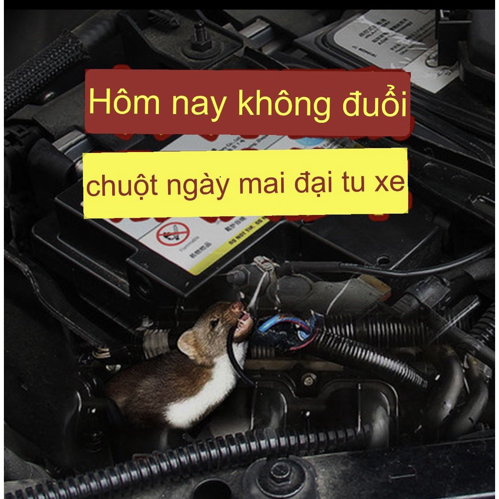 Sáp Đuổi Chuột Cao Cấp 200g Loại Tốt - Giải Pháp Chống Chuột Xâm Nhập Ô Tô Hiệu Quả