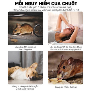 Sáp Đuổi Chuột Cao Cấp 200g - Giải Pháp Tối Ưu Chống Chuột Xâm Nhập Ô Tô Hiệu Quả Nhất`